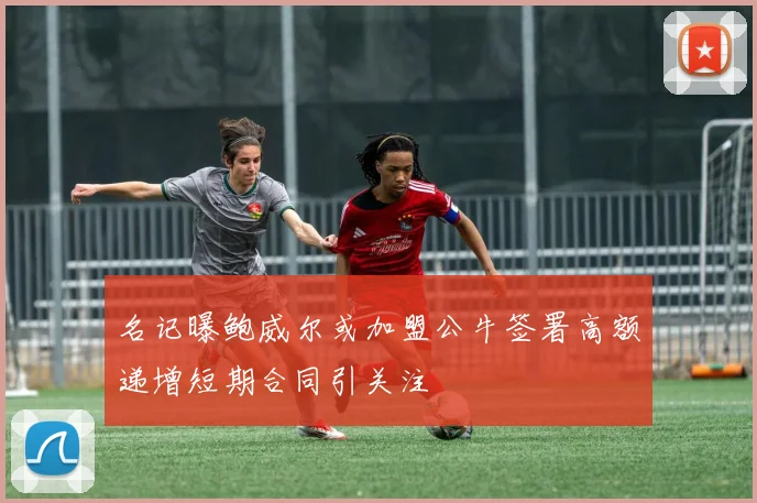 名记曝鲍威尔或加盟公牛签署高额递增短期合同引关注